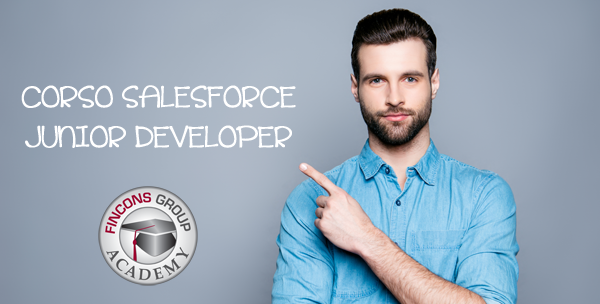 Salesforce Junior Developer