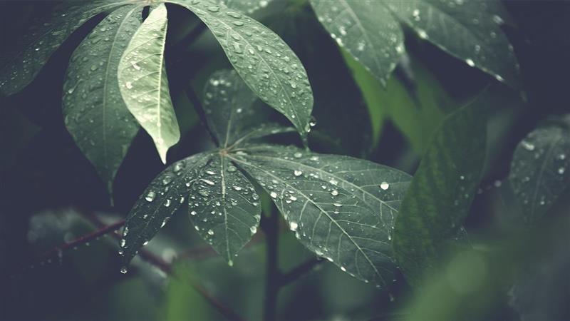 La crescente importanza dell’ESG nella strategia aziendale