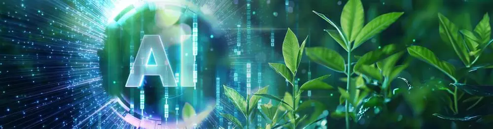L’efficienza energetica incontra le performance: la soluzione Green Coding di EcoDev
